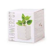VASO CON PIANTINA DI MENTA